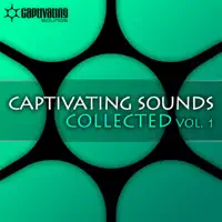 Bullfrog (Original Mix) — Ralphie B