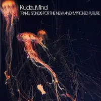 Pulling The Curtains On Silence — Kudzumind