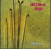 Old Blind Dogs - P. Stands for Paddy