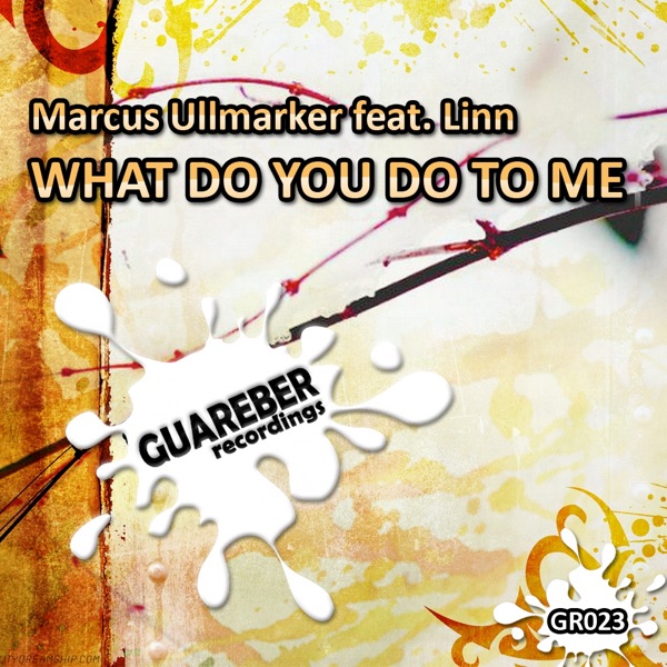 What Do You Do To Me (feat Linn) - Single