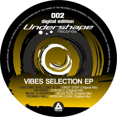 Vibes Selection - EP