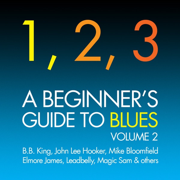 A Beginner's Guide To Blues Vol. 2