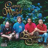 Blueberry Cave — Garaj Mahal