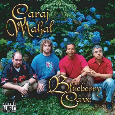 Garaj Mahalの「Blueberry Cave」を聴こう。