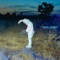 Bloody Bunnies (Superficiality) - Gram Rabbit lyrics