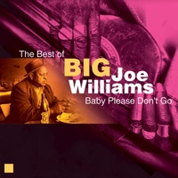 Baby Please Don't Go (The Best of) - Big Joe Williams