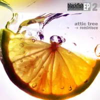 Unstoppable — Attic Tree