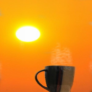 Morning Coffee - Single