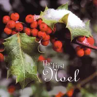 The Holly and the Ivy — Ronnie Aldrich