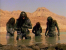 Territory - Sepultura