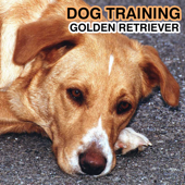 Cover art for Dog Training - Golden Retrievers by Dog Training Institute