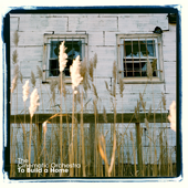 Cover art for To Build a Home by The Cinematic Orchestra