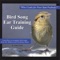 Red-tailed Hawk & Black-crowned Night Heron - John Feith lyrics