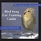 Hermit Thrush & Swainson's Thrush - John Feith lyrics