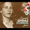 Shiraz - Sonbol Taefi lyrics