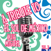Drew's Famous #1 Latin Karaoke Hits: Sing Like Luis Miguel Vol. 2 - Reyes De Cancion