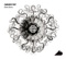 Arabesque - Zanussi Five lyrics