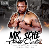 Street Credit 2 - Mr. Sche