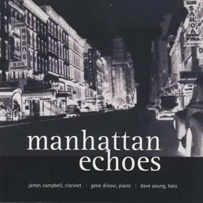 Manhattan Echoes - Dave Young