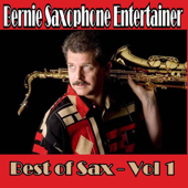 Cover art for Best of Sax - Vol. 1 by Bernie Saxophone Entertainer