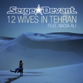 12 Wives In Tehran (David Tort Remix) [feat. Nadia Ali] artwork