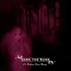 In Darkness Comes Beauty - Dark The Suns