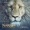 David Arnold - Time To Go Home