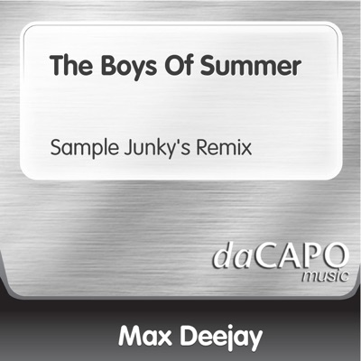 The Boys of Summer (Sample Junky's Remix) [feat. Faith] - Single