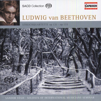 String Quartet No. 14 in C-Sharp Minor, Op. 131 (Arr. For String Orchestra): VI. Adagio, Quasi un poco Andante-thumbnail