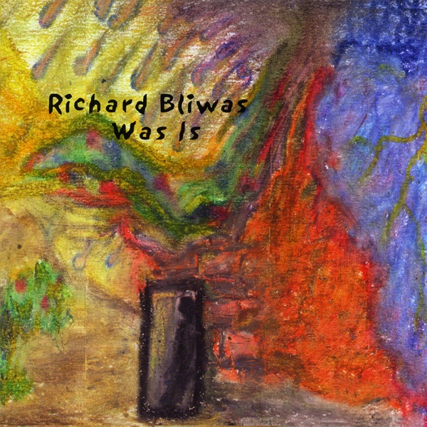 Обложка альбома «Was Is» — Richard Bliwas