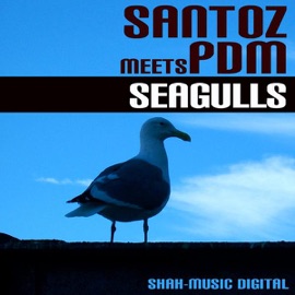 Seagulls (Radio Edit) PDM & Santoz