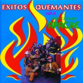 Tropicalisimo Apache: Exitos Quemantes, Vol. 4