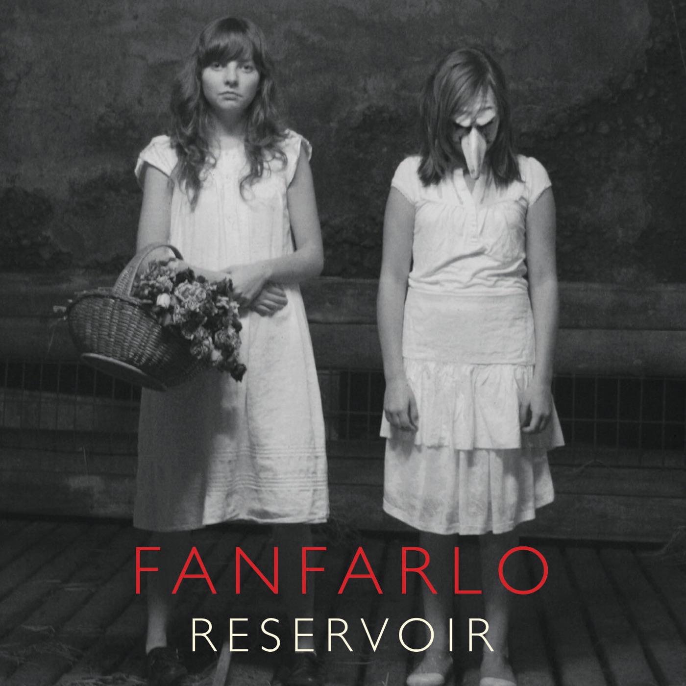 Reservoir by Fanfarlo
