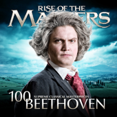 Symphony No. 5 in C Minor, Op. 67: I. Allegro con brio