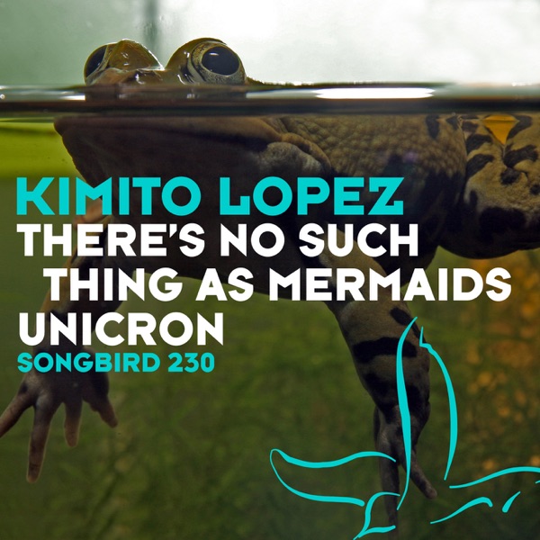 There's No Such Things As Mermaids artwork