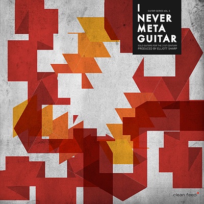 I Never Meta Guitar