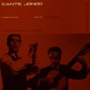 Cante Jondo: Flamenco Music