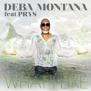 What I Like (Remixes) [feat. Prys]
