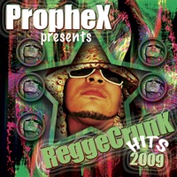 Prophex Presents Reggae Crunk Hits 2009 - Prophex