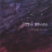 The Shots - Y Chromosome