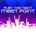 Play The Night (D