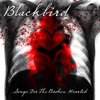 Blackbird - Crashing Down