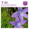 Sensation (Akira Kayosa & Bevan Miller Remix) - T4L lyrics