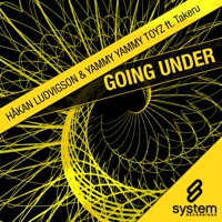 Going Under feat. Takeru - Hakan Ludvigson & Yammy Yammy Toyz