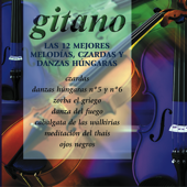 Danza Húngara, Nro. 5
