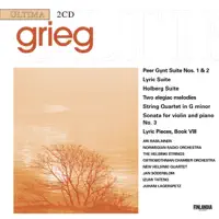 String Quartet in G Minor, Op. 27: I. Un poco andante - Allegro molto ed agitato