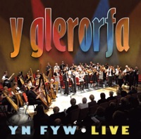Yn Fyw - Live by Y Glerorfa on Apple Music