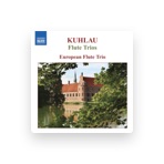 European Flute Trio