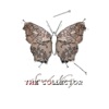 The Collector - Single