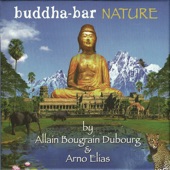 Buddha-Bar: Nature artwork